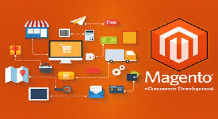 I will design a Magento 2 multivendor ecommerce website
