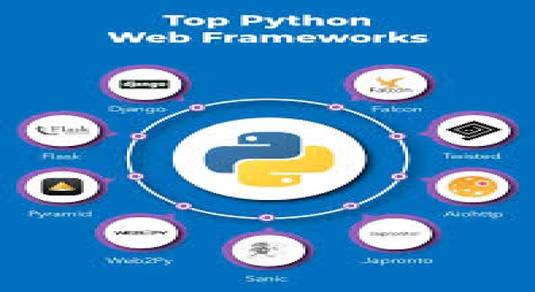 I will design a python website