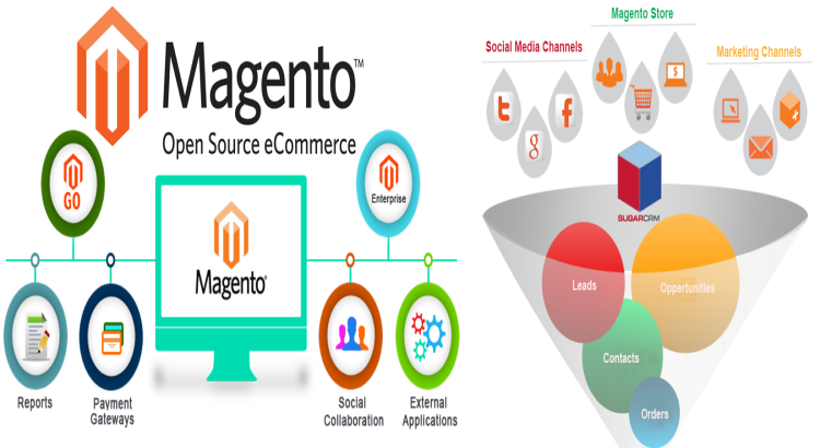 Develop, design and support a magento 2 website
