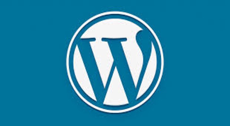 build modern and responsive wordpress website design