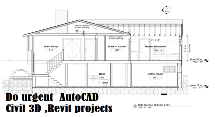 Do urgent  AutoCAD Civil 3D ,Revit projects