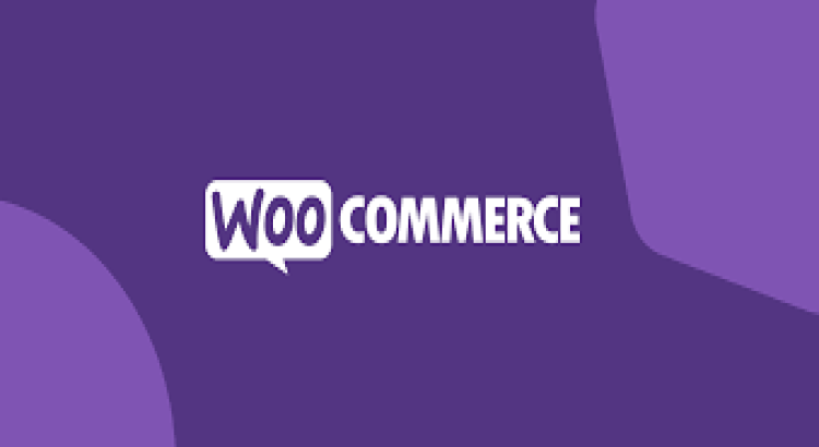 Design and build a custom woocommerce website
